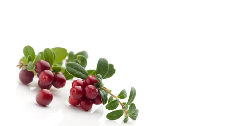 Fruitliquid Cranberry B