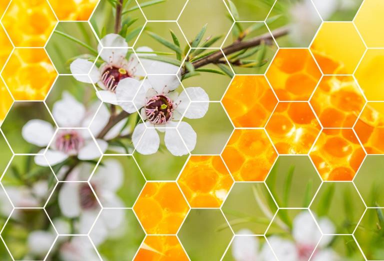Crodarom Manuka Honey