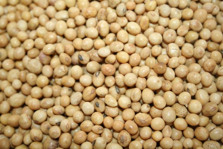 Seatons Identity Preserved Refined Soyabean Oil