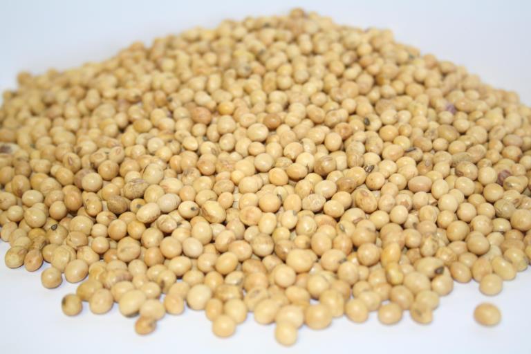 Seatons Refined Soyabean Oil