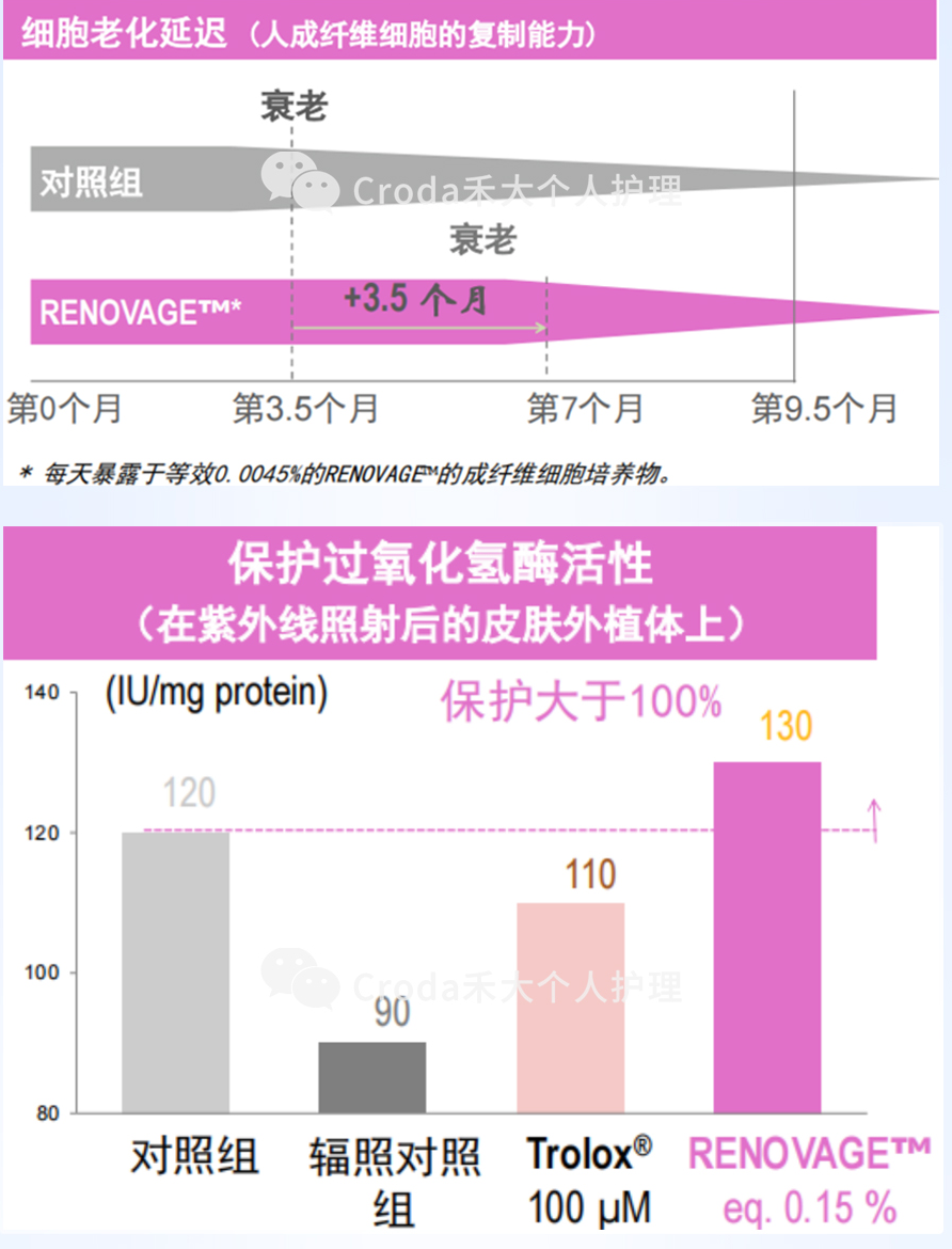 根源抗老，革新科技首度揭秘！