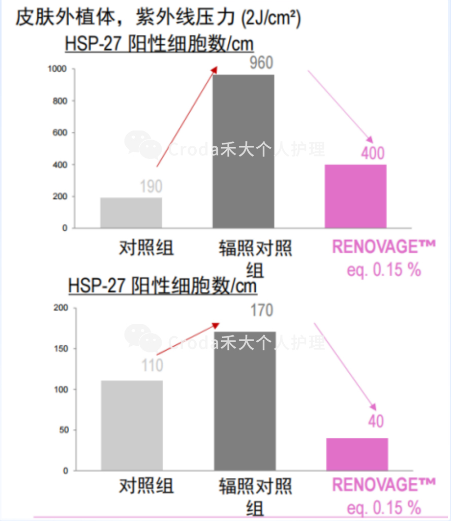 根源抗老，革新科技首度揭秘！
