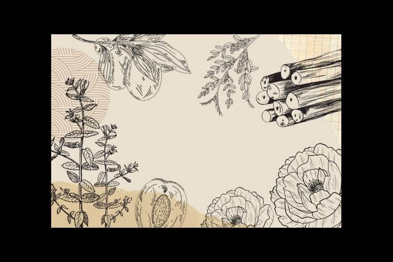 Crodarom 的最新创新产品 - PhytAura™