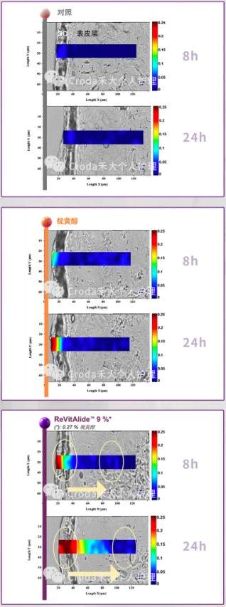 Sederma视黄醇解决方案