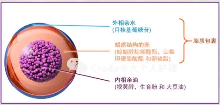 Sederma视黄醇解决方案