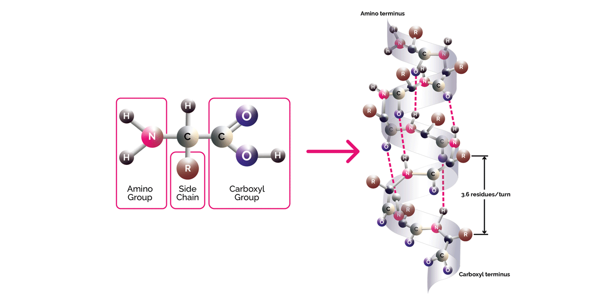 bond building molecular structure diagram 3