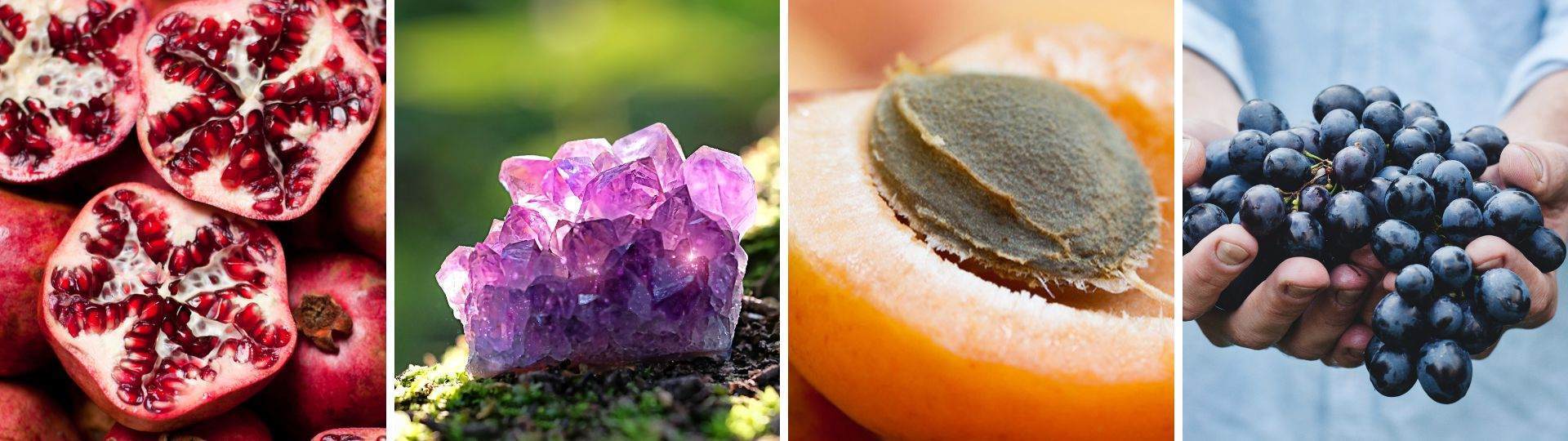 什么是负责任采购，为什么它对于我们很重要？