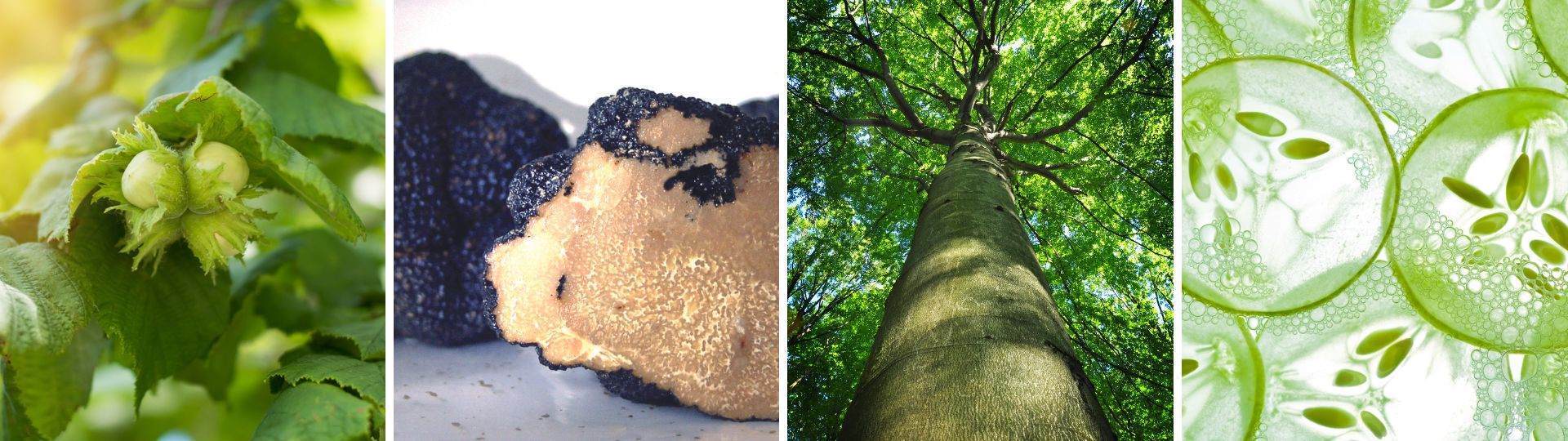 什么是负责任采购，为什么它对于我们很重要？