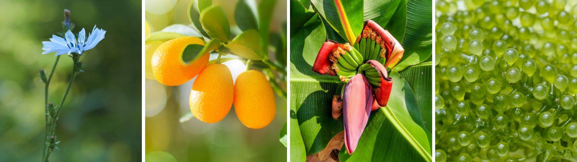 什么是负责任采购，为什么它对于我们很重要？