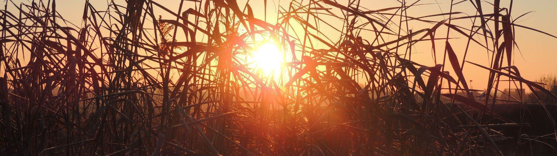 什么是负责任采购,为什么它对于我们很重要?