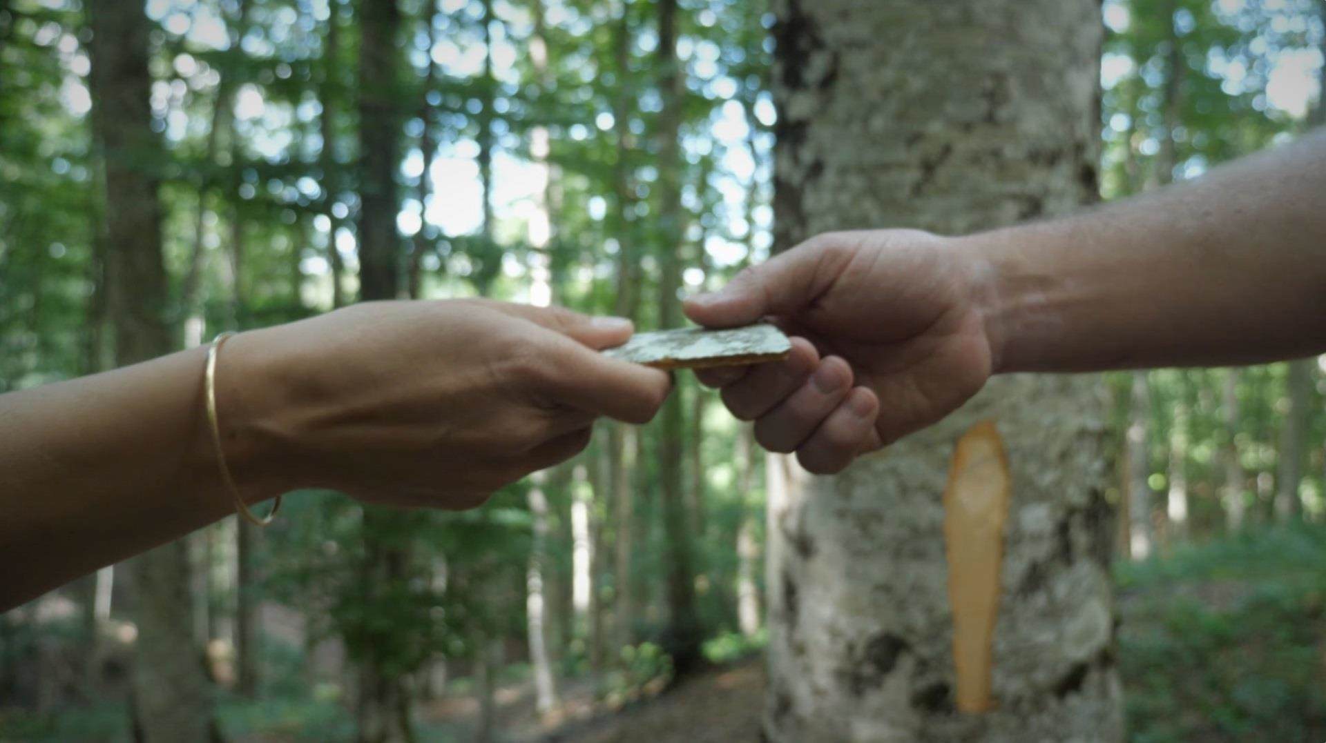 什么是负责任的采购，为什么它对我们很重要？