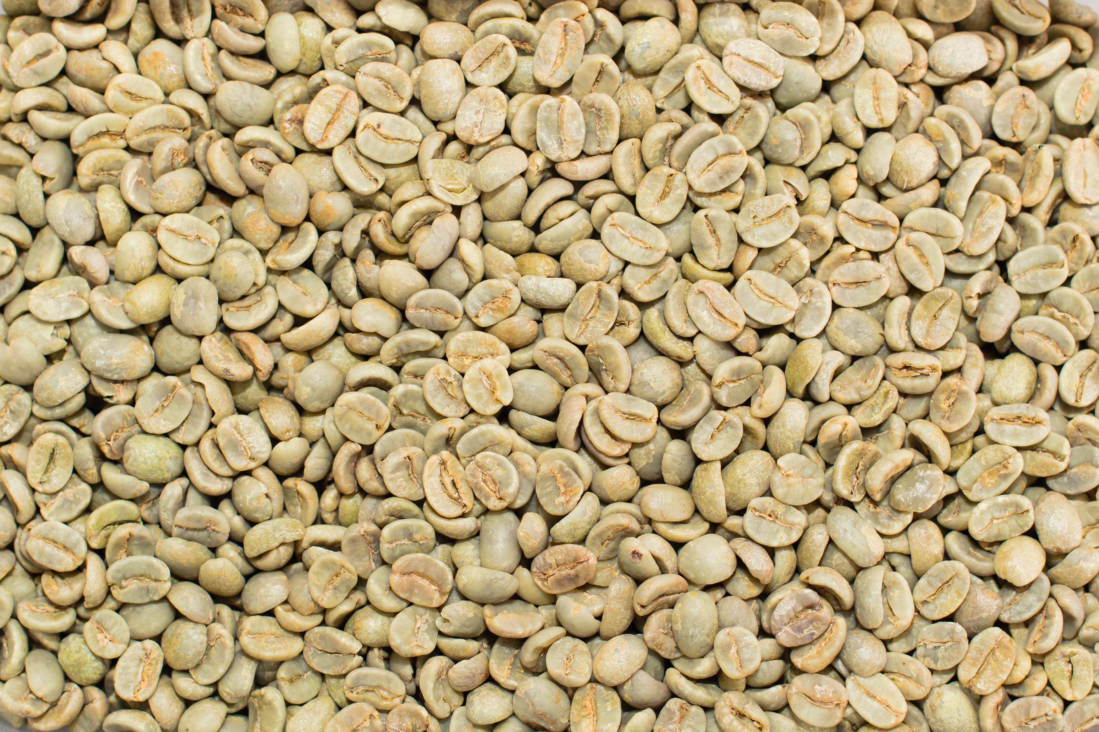 green no roasted coffee beans