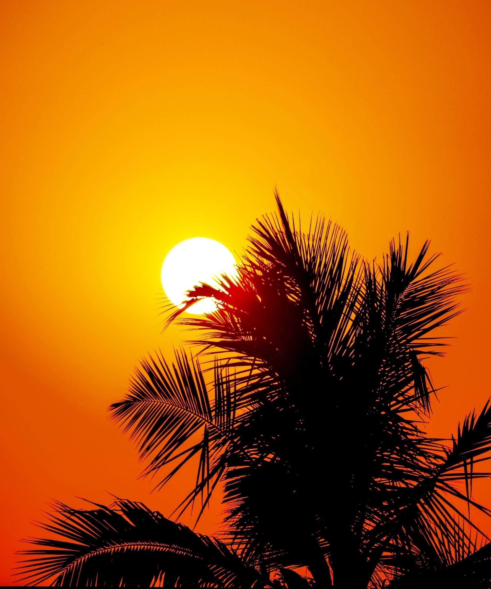 deep sunset
