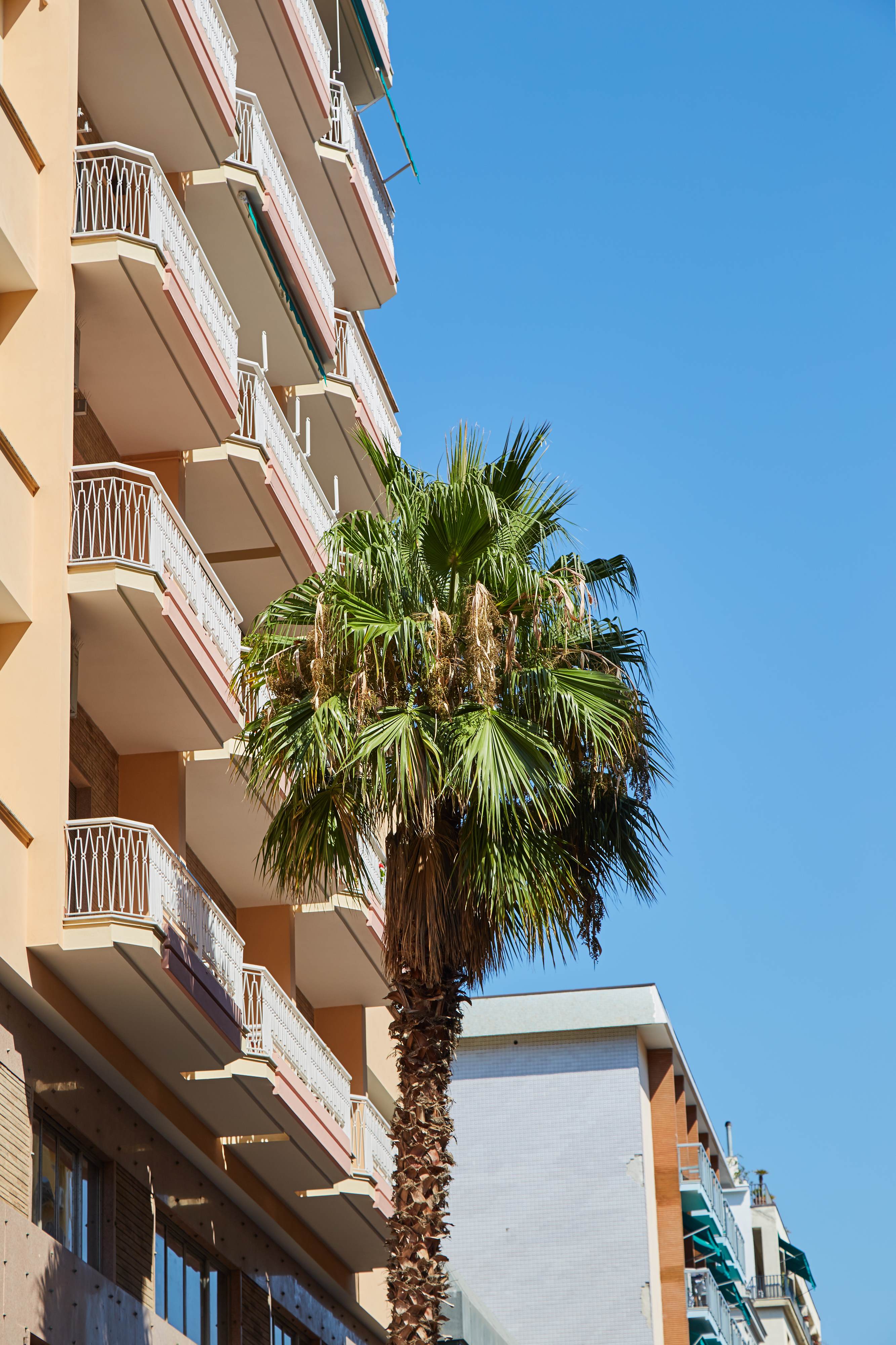 apartment in the sun