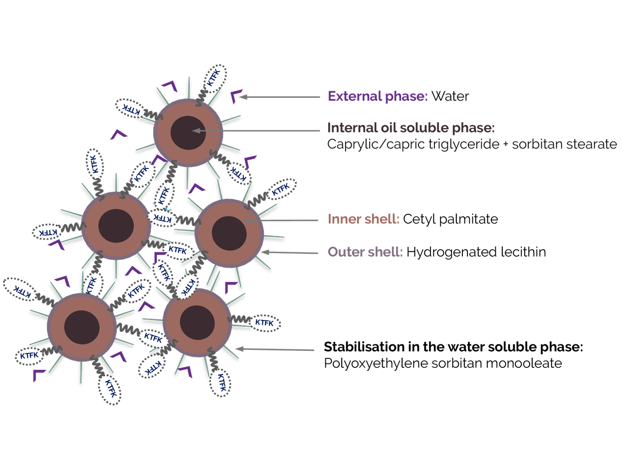 Example of peptide encapsulation