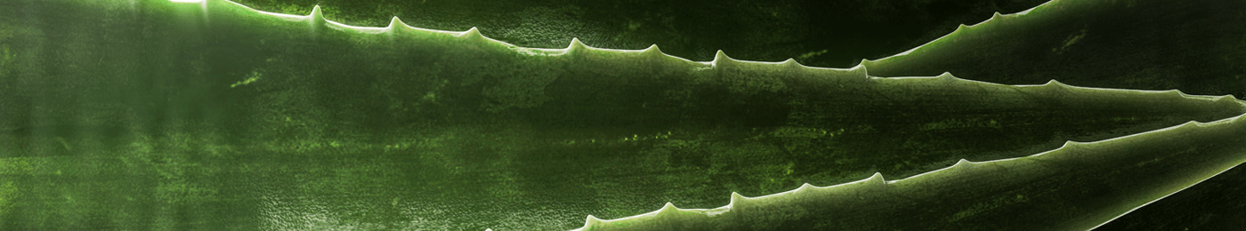 product carbon footprint header