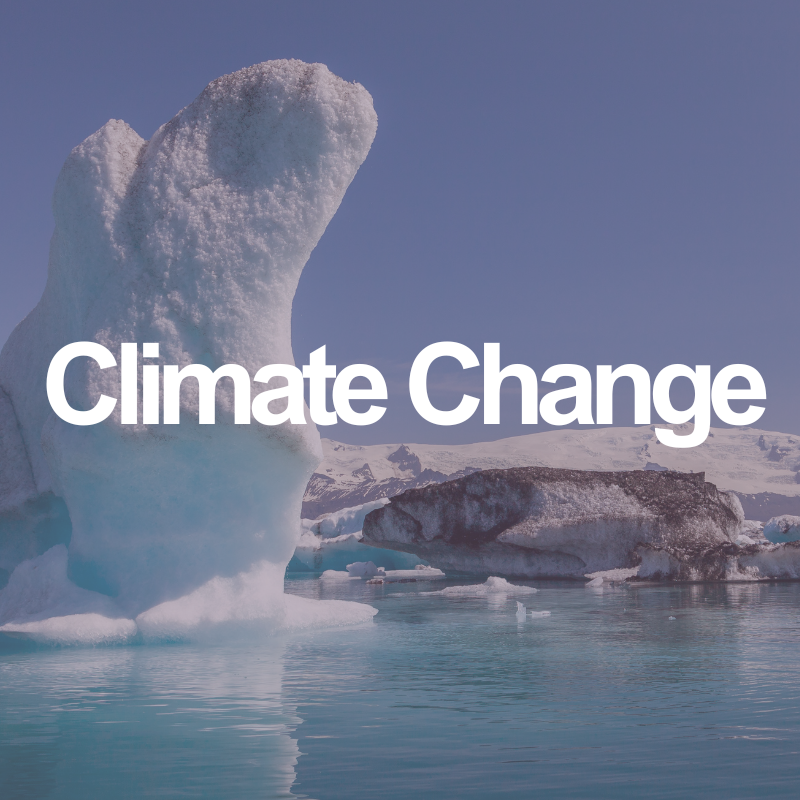 Climate change in the ocean