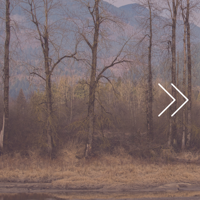 Reducing carbon emissions