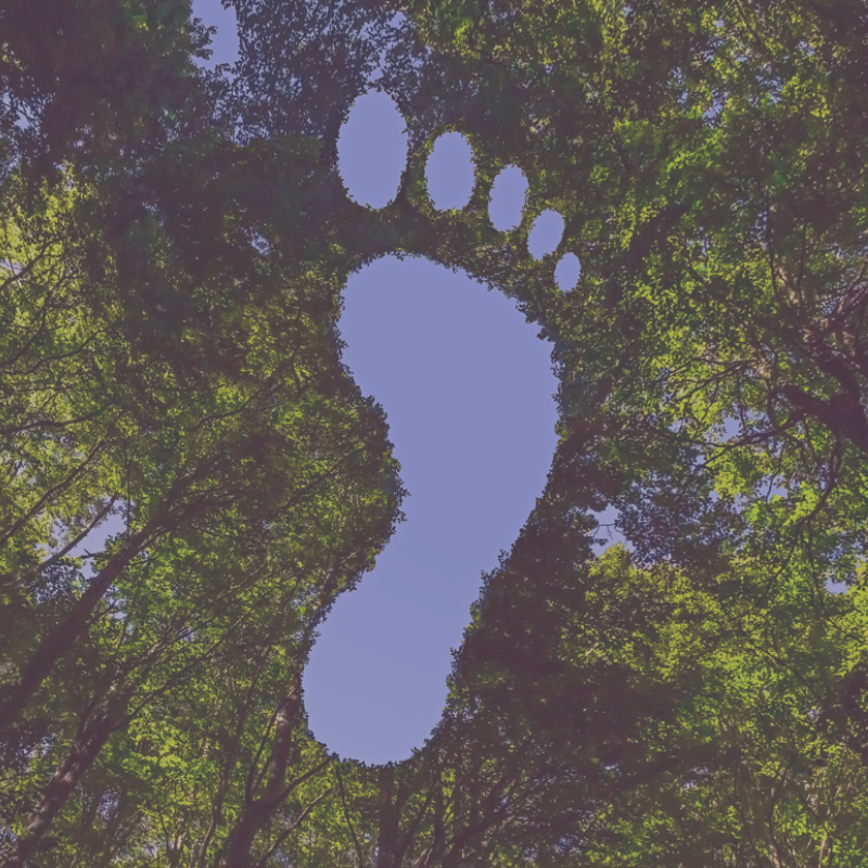 what is product carbon foot print