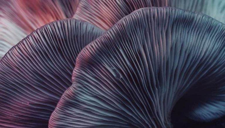 biomimetics mushroom gills
