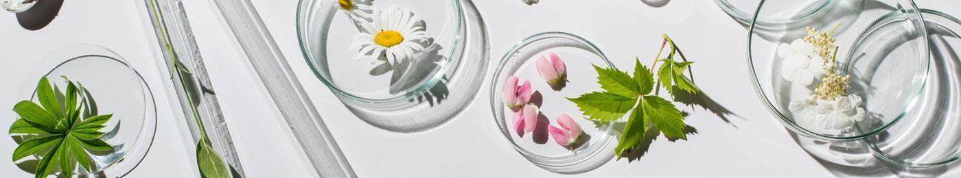 conscious beauty various botanicals in petri dishes and other glassware
