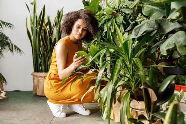 conscious beauty woman looking at plants